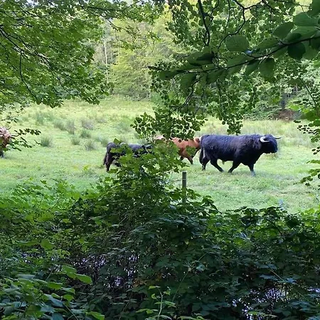 Appartamento Naturskon Landidyl Pa Ibaekgaarden - I Egen Bolig *