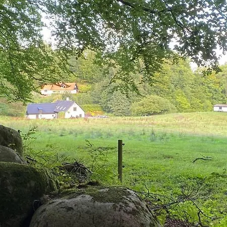 Naturskon Landidyl Pa Ibaekgaarden - I Egen Bolig * Вайле