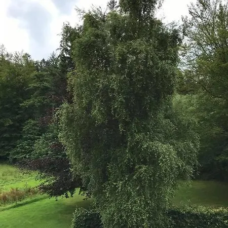 Naturskon Landidyl Pa Ibaekgaarden - I Egen Bolig Вайле