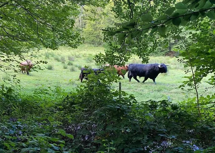 Appartement Naturskon Landidyl Pa Ibaekgaarden - I Egen Bolig *