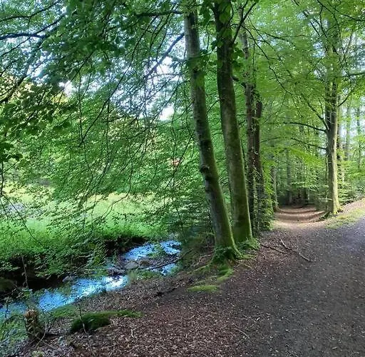 Naturskon Landidyl Pa Ibaekgaarden - I Egen Bolig