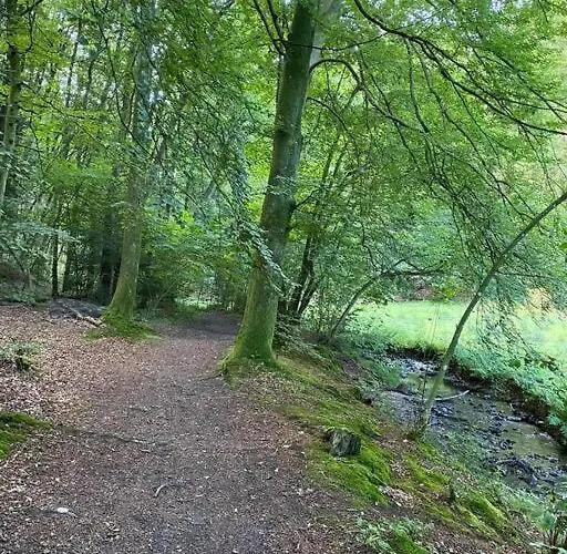 Naturskøn Landidyl På Ibækgaarden - I Egen Bolig Lejlighed