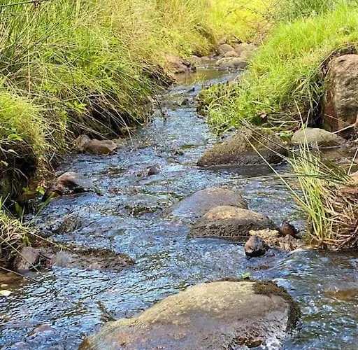 Naturskøn Landidyl På Ibækgaarden - I Egen Bolig * Vejle